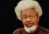 COVID-19: We are not in a war emergency…Soyinka