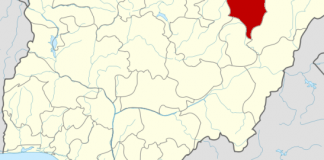 Healthcare Scheme: Yobe govt enrolls 100 indigents