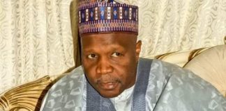 NEDC trains 50 women on renewable energy, distributes energy-efficient stoves in Gombe