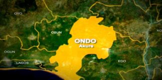 Suspected herdsmen gang rape, kill housewife in Ondo