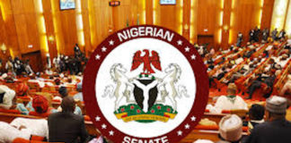 Senate to Buhari: Declare Bandits as Terrorists