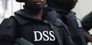 DSS Foils Arms Smuggling Attempt in Zamfara, Governor Commends Operation
