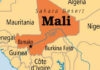 Mali protest movement seeks 2-year transition to civilian rule