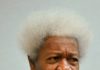 BETWEEN ‘DIVIDERS-IN-CHIEF’ and DIVIDERS-IN-LAW -By Wole Soyinka