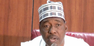 Probe ecological fund collected by Borno govt, SERAP tells Tinubu