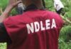 NDLEA intercepts parcels of cocaine, heroin en route Europe