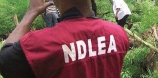 N9bn Drug: NDLEA nabs Canadian Lady at Lagos Airport