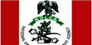 Abba Kyari: Witness indicts NDLEA operatives at Enugu International Airport