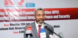 Nigeria is Far from a Hopeless State – NIPR