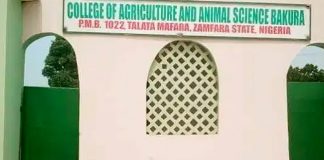 Abducted Zamfara College Students Released from captivity