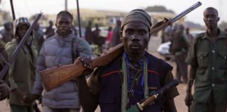 Vigilante Group kill 11 Bandits, free captives in Kogi