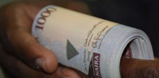 Naira Slumps as Foreign Currencies Inflows Tumble