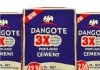 Dangote Cement Share Price Up 14% in 11-Month