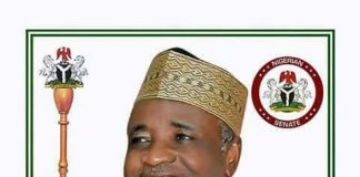 (OPINION) Sokoto 2023: Wamakko as the political tree that makes up a forest -By Salisu Ibrahim