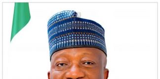 How Executive Dominance is killing Legislative Vibrancy in Nigeria -Sulaiman