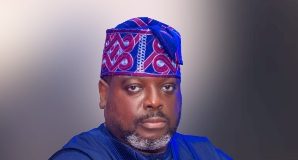 Tinubu ‘ll include Best from Diaspora in 2023, Says Omole