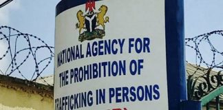 NAPTIP gives private shelters, rehabilitation homes 60 days ultimatum to obtain operating license