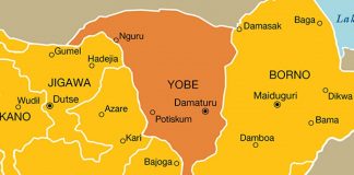 Army intercepts cannabis worth N4.9m in Yobe