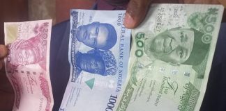 Bandits seek for redesigned naira notes as ransom in Zamfara