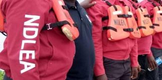 NDLEA Foils Drug Trafficking Attempt by Make-up Artist at Lagos Airport