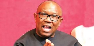 Group Tackles Peter Obi, Says Nigeria’s economic growth better, more impactful