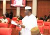 Celebrating Senator Michael Opeyemi Bamidele: A pillar of progress in the 9th senate -By Victor Alade