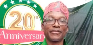 NIDO remits over $25billion into Nigeria’s economy, says Obasekola