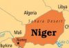 Niger junta form new govt