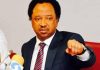 Shehu Sani identifies factors for re-emergence of juntas in politics in West Africa