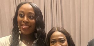 Dabiri-Erewa hails Chinenye, Osagie two Nigerian-Americans nomination into advisory council on Africa Diaspora by Biden