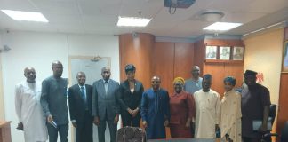Nigeria Seeks Investors to Fuel Energy Sector Growth, Not Just Technical Aid -Amb. Aduda