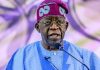 Tinubu establishes special presidential panel on social investment programmes