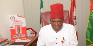 Nigerians in Diaspora remitted $22billion in 2022 -Senator Umeh