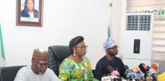 NDIS 2023: Over 200 investors registered to attend diaspora Investment in Nigeria -Dabiri-Erewa