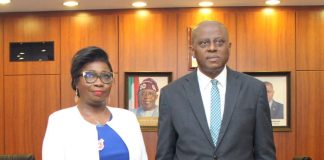 Cardoso pledges to increase inflow of diaspora remittances