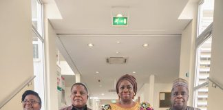 Africa Diaspora, Catalyst for Continental Development, Says Dabiri- Erewa