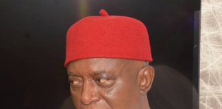 Anioma state ‘ll address challenges of Ndigbo, says Sen. Ned Nwoko