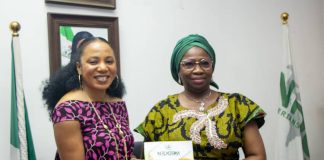 Dabiri-Erewa applauds Nigerian Diaspora as remittances, investment to Nigeria increases