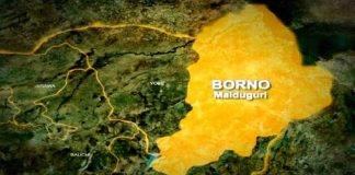 Flooding: Borno govt to shut schools for 14 days