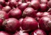 6th Int’l Onion Conference: Women to be Given More Opportunities in the Onion Sub-sector