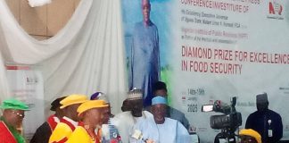Gov Namadi Bags Diamond Prize for Excellence Award in Food Security by NIPR