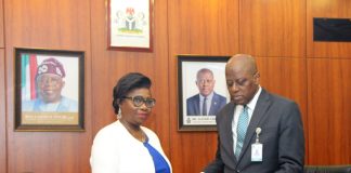 Dabiri-Erewa Applauds Cardoso on launch of non-resident Nigerian accounts