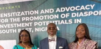 Enugu creates diaspora desks across local govt, as NIDCOM holds diaspora advocacy investment summit in South-East