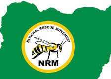 Northern group declares support for Njoku as NRM national chairman