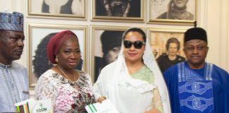 Senate Committee on Diaspora and NGOs Pledges Support for NiDCOM