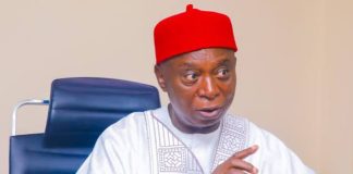 PDP member prays court to declare Ned Nwoko’s seat vacant