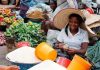 Drop in food prices evidence of FG’s successful efforts to tackle food inflation -TDF