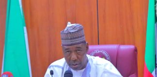 Zulum Urges NEDC to Prioritize Tangible Projects for Northeast Development
