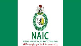 Tinubu Appoints Yazid Danfulani as MD of Nigerian Agricultural Insurance Corporation