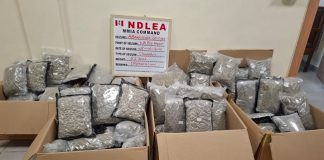 NDLEA Nabs 62.2kg of Loud Concealed in Green Tea at MMIA
